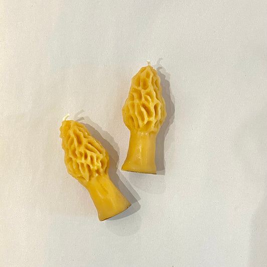 Beeswax Mushroom Candles - Waxing & Raining